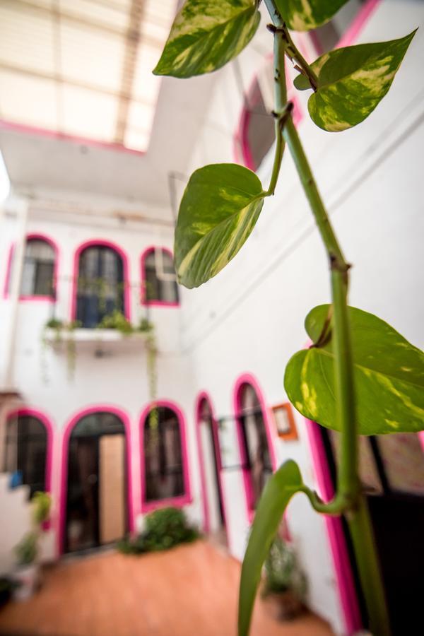 Taiyari Hostal Монтеррей Екстер'єр фото